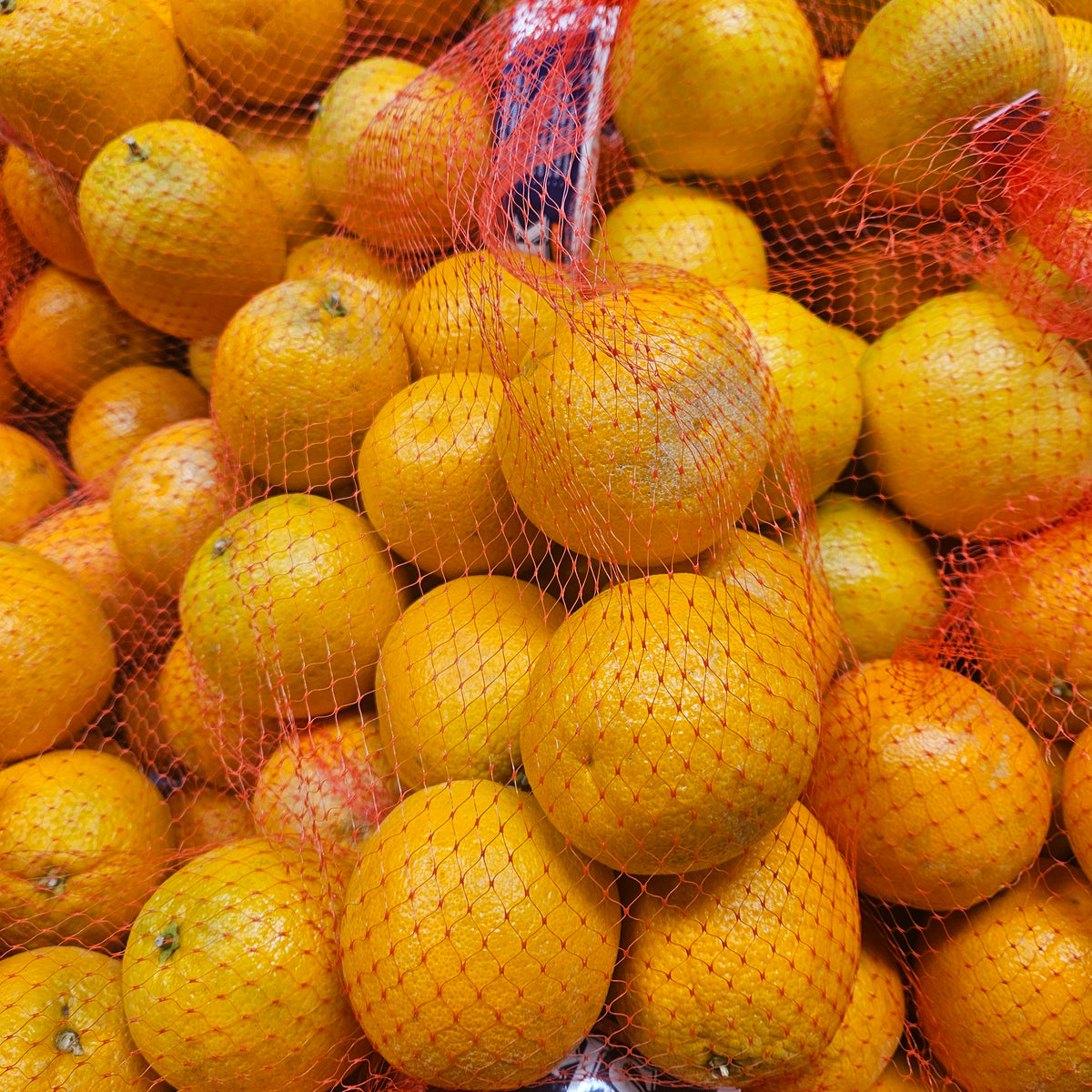 Navel Orange 4lb/bag, 네이블 오렌지 4lb/bag – MEGAMART | MegaKfood