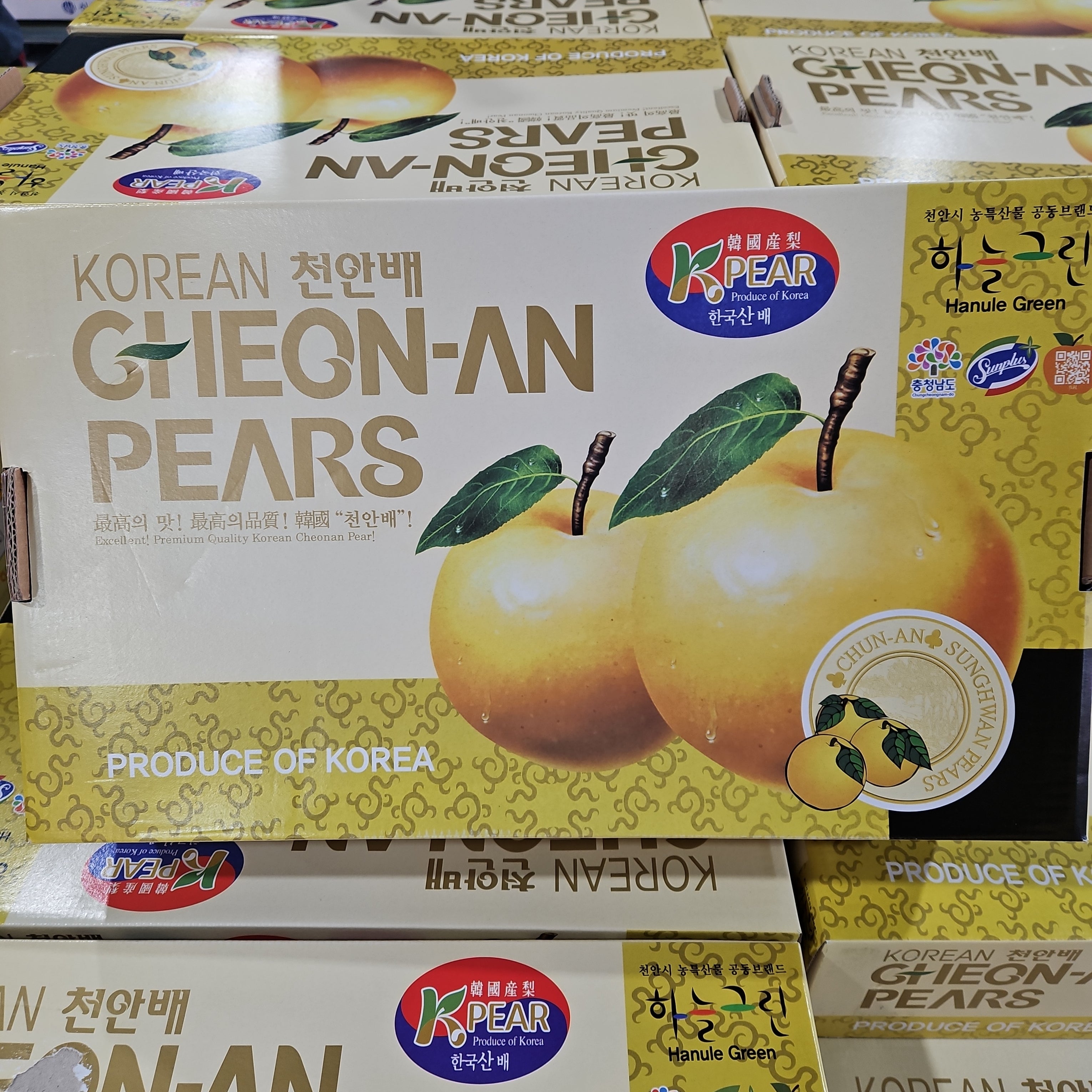 KOREAN SINGO PEAR 7CT /BOX , 한국산 신고배 7과 BOX – MEGAMART | MegaKfood