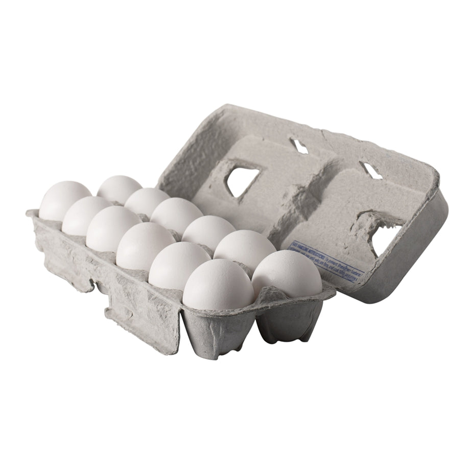 85046500003_1_460x@2x.jpg?v=