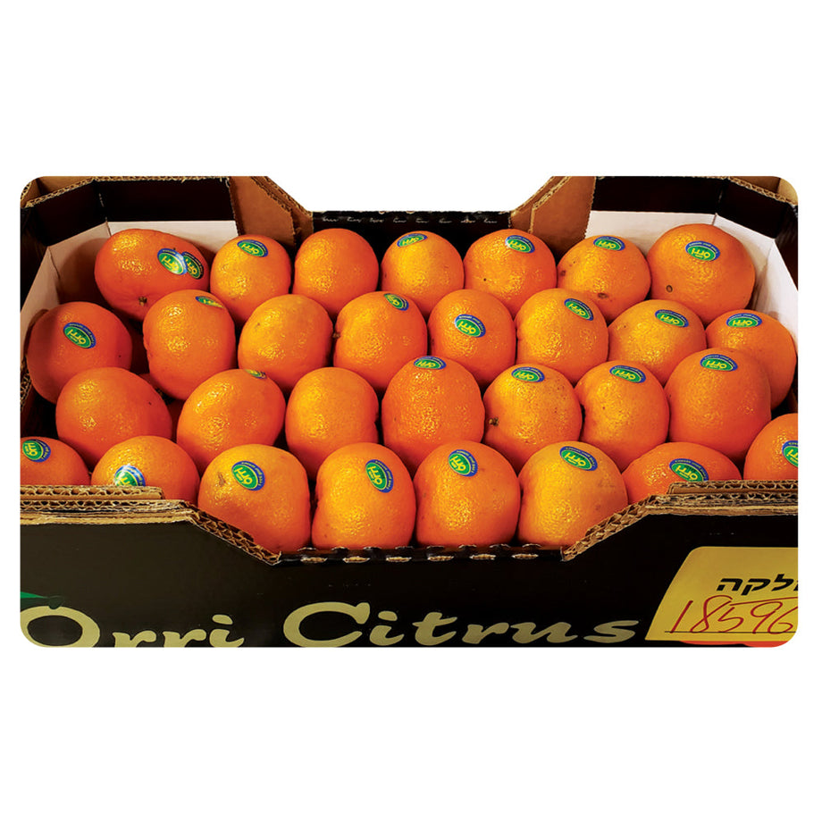 Navel Oranges (6 Oranges) – Espostos Meals